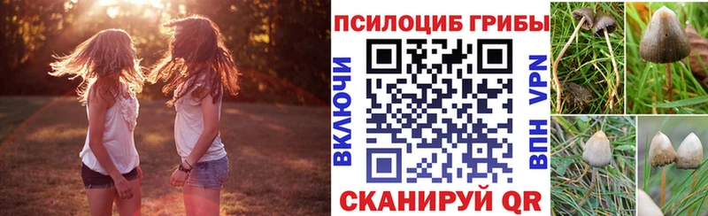 купить закладку  Уяр  Псилоцибиновые грибы Psilocybe 